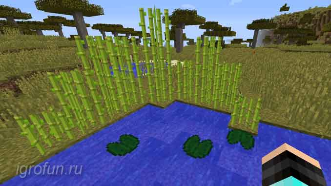 Растения в игре Minecraft - кувшинки и сахарный тростник